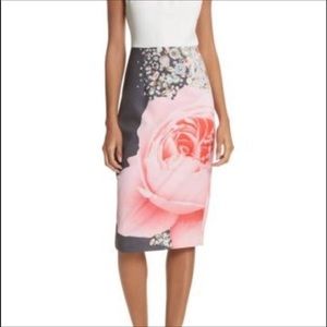 Ted Baker Dress⬇️Price Drop⬇️